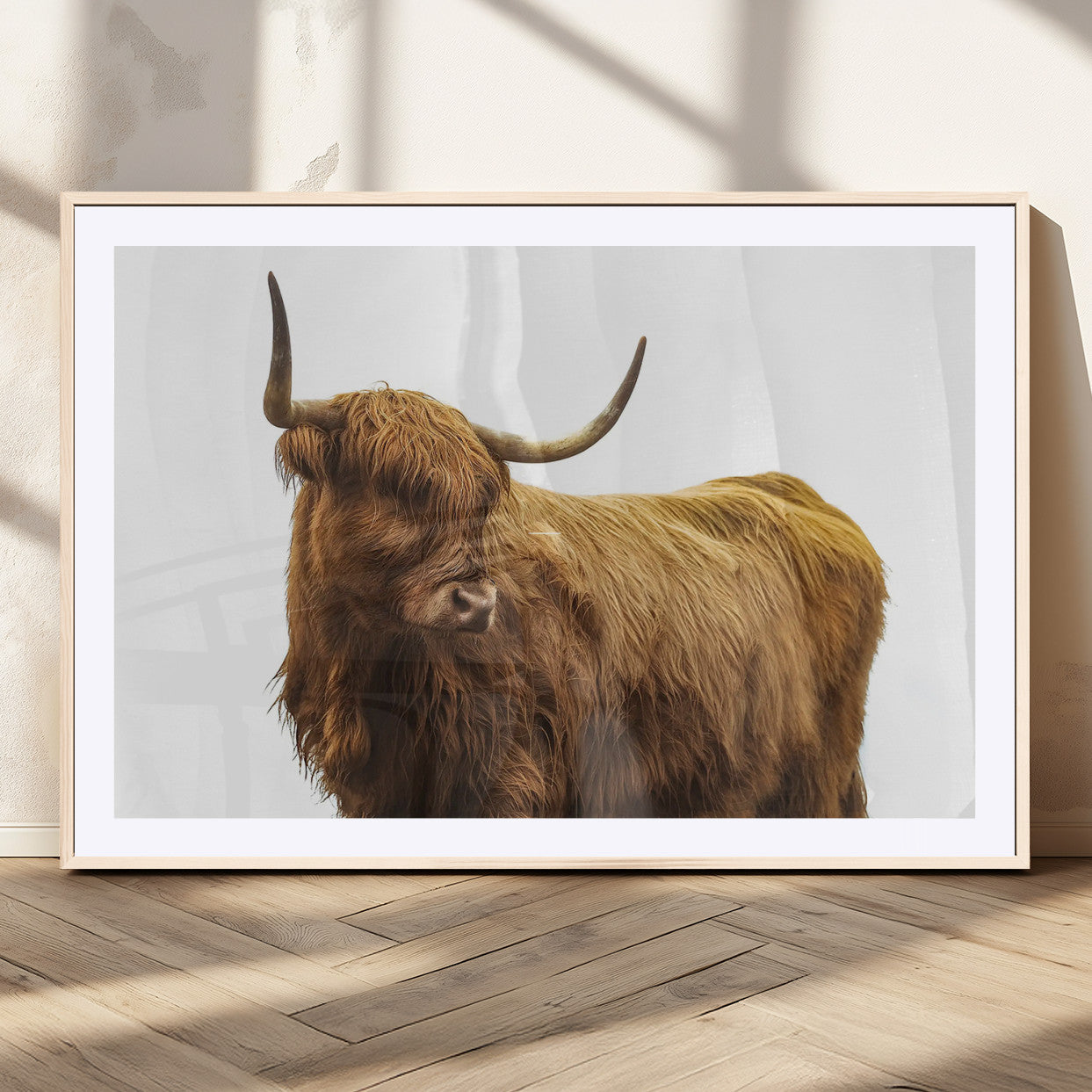 A highland cow with long horns and shaggy fur standing calmly, isolated on white background, ideal for rustic or farmhouse wall decor.