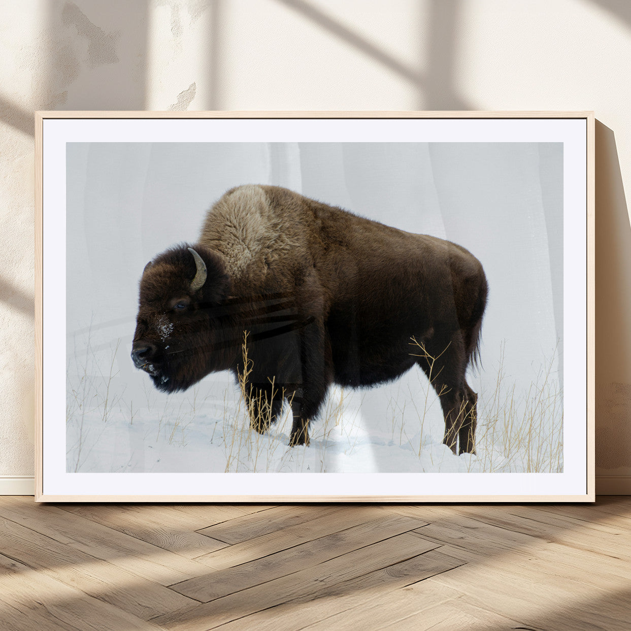MGC-FP-36x24 - Bison Photography Wall Art Canvas Print, Framed Western Wildlife Art Picture Print, Buffalo On Snow Perfect Western Decor Artwork