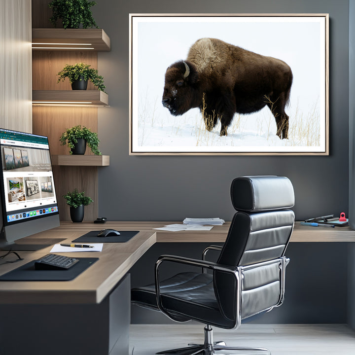 Bison Photography Wall Art Canvas Print, Framed Western Wildlife Art Picture Print, Buffalo On Snow Perfect Western Decor Artwork