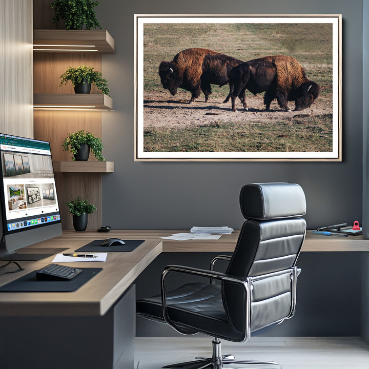 Bison Photography Wall Art Canvas Print, Framed Western Wildlife Art Picture Print, Modern Ranch Perfect Western Rustic Decor Artwork