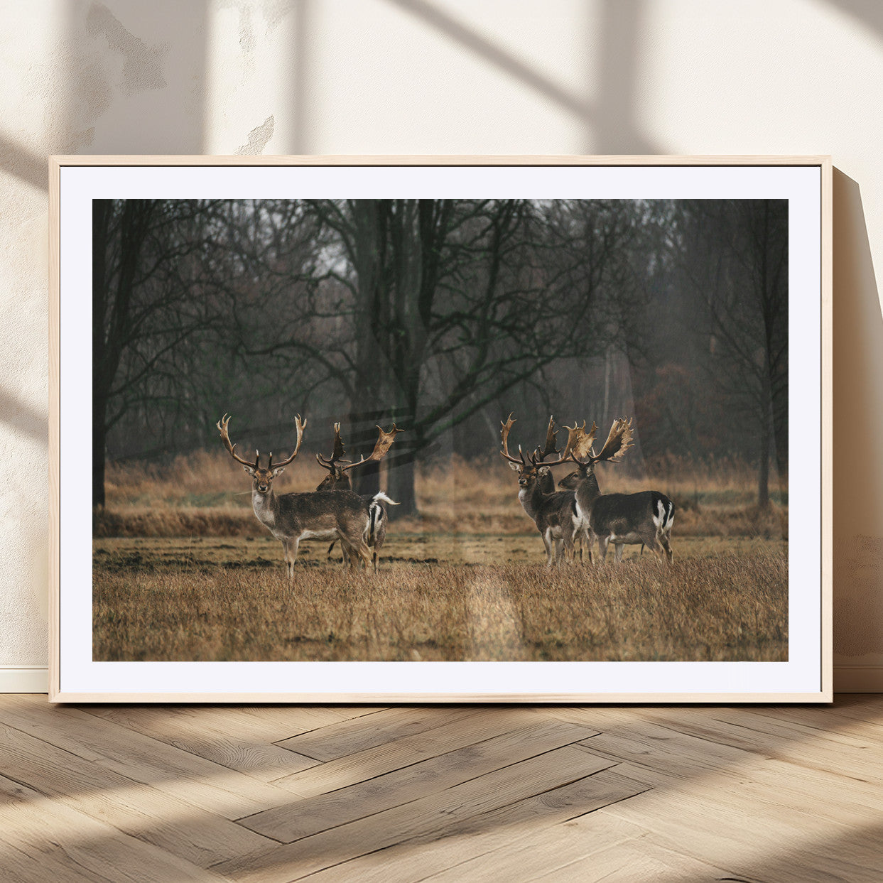 A group of majestic deer standing in a golden field with bare trees in the background, creating a peaceful woodland scene.