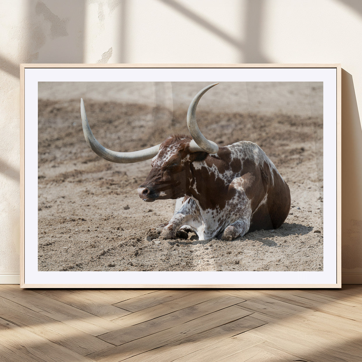Texas Longhorn resting on sandy ground with large curved horns, capturing a rustic Western aesthetic perfect for farmhouse-style wall art.