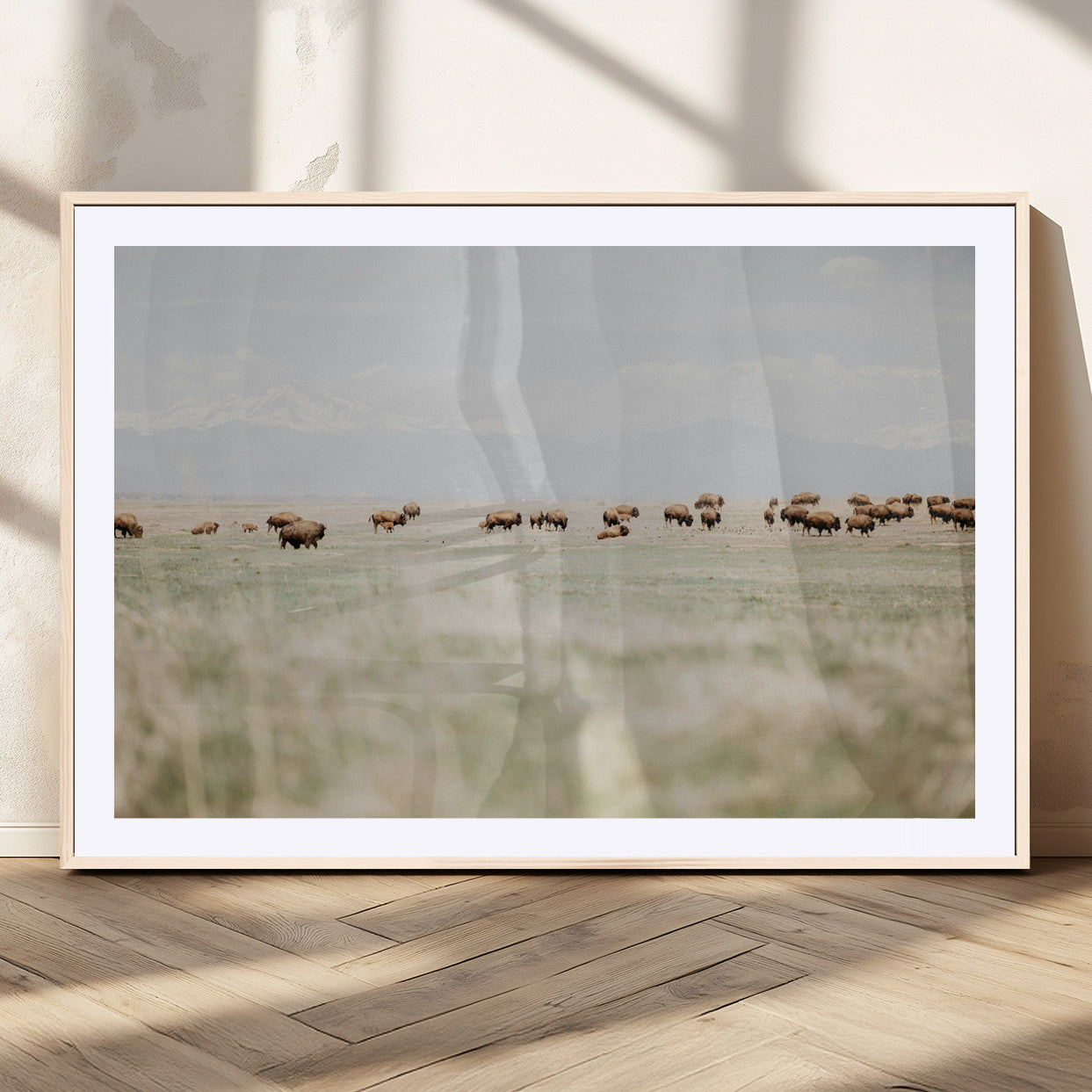 A herd of bison grazing in an open prairie with distant mountains under a soft sky, creating a serene and rustic Western landscape.