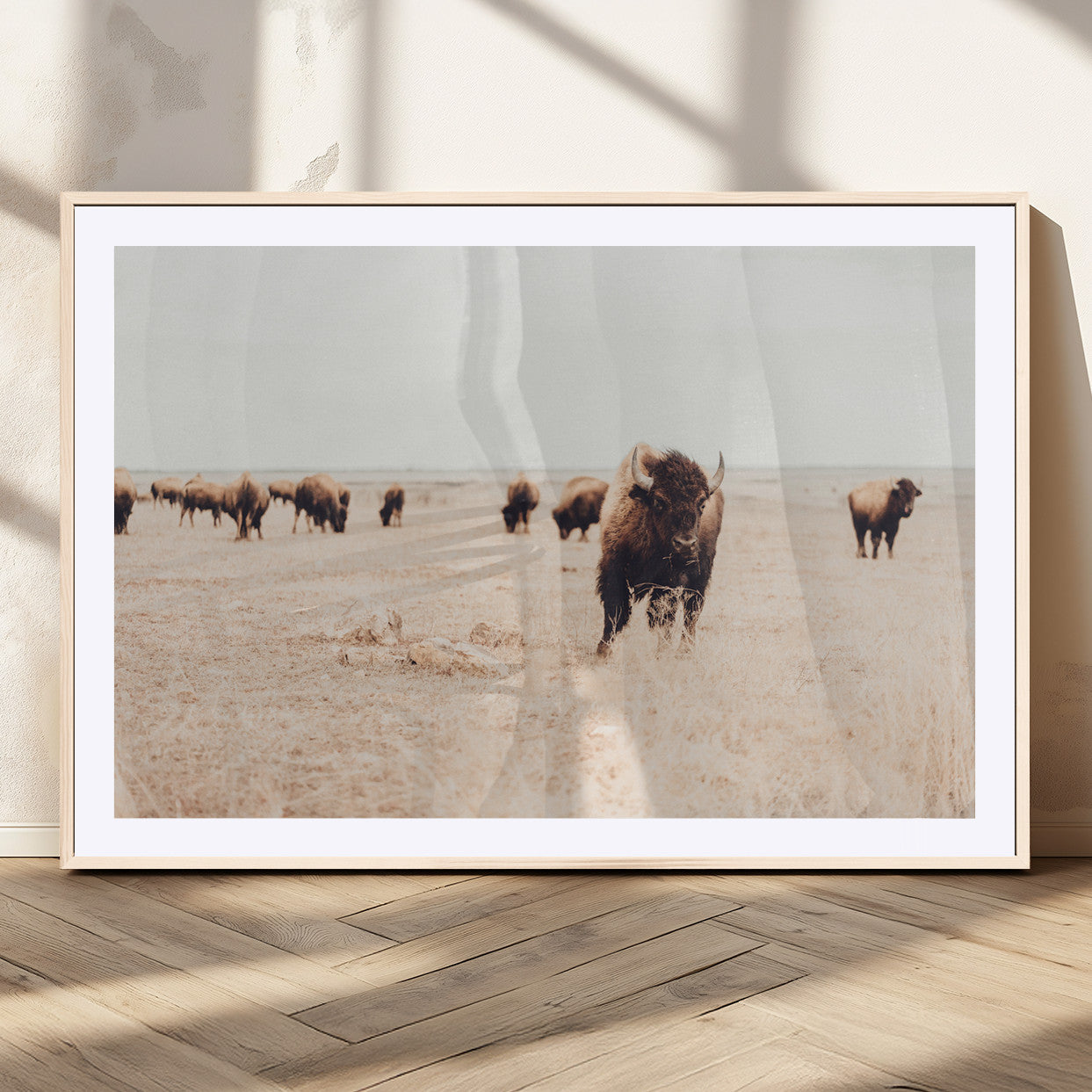 Herd of bison roaming a vast prairie with golden grass under a soft sky, creating a rustic and Western landscape, ideal for wall art.