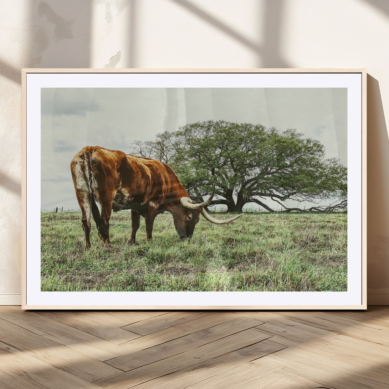 A Texas Longhorn grazing in a green pasture with a large tree in the background, evoking a rustic Western and farmhouse aesthetic.