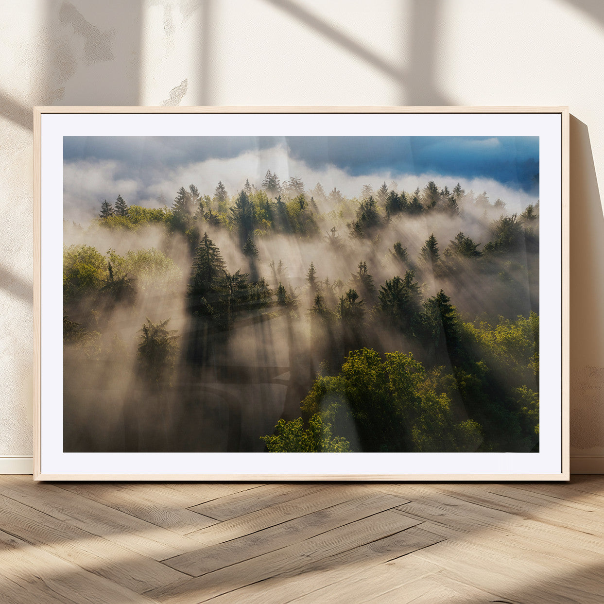 Sunlight streaming through misty pine trees in a lush green forest, creating a serene and atmospheric landscape, perfect for nature-inspired decor.