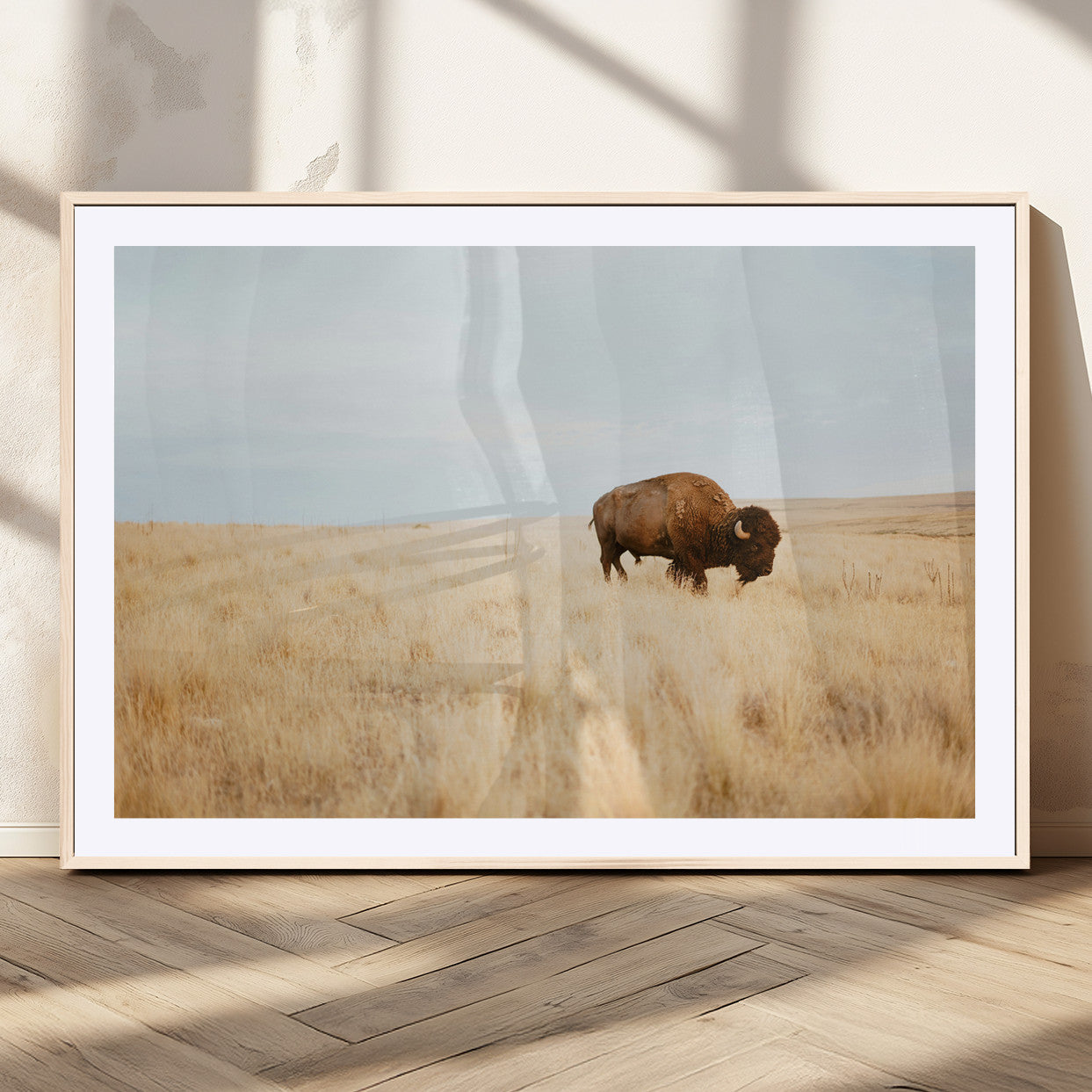 A lone bison standing in a vast golden grassland under a soft blue sky, evoking a rustic and Western aesthetic, ideal for farmhouse decor.
