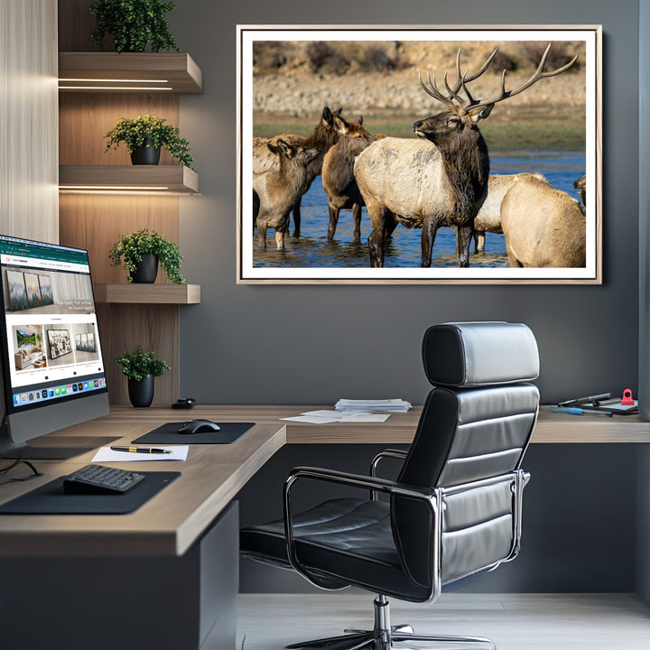 Wild Elk Photography Wall Art Canvas Print, Framed Neutral Wildlife Scene Art Picture Print, Rustic Animal Print Perfect Rustic Farmhouse