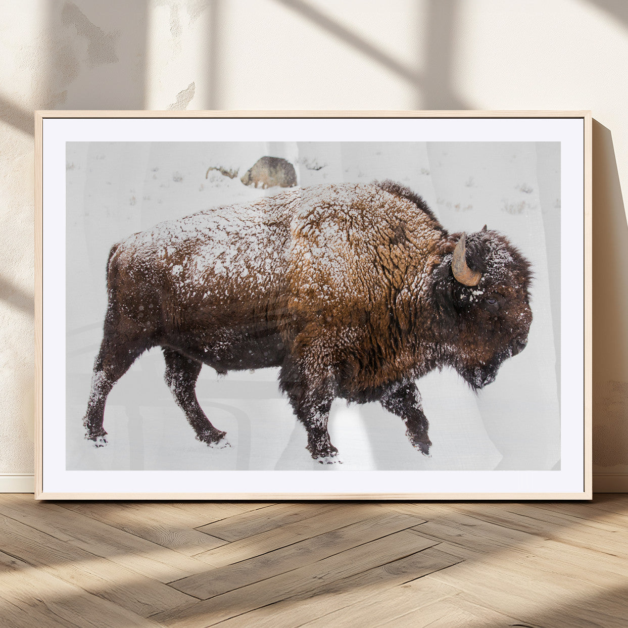 Side profile of a powerful bison walking through deep snow, with frost-covered fur and a white winter background, perfect for rustic and western decor.