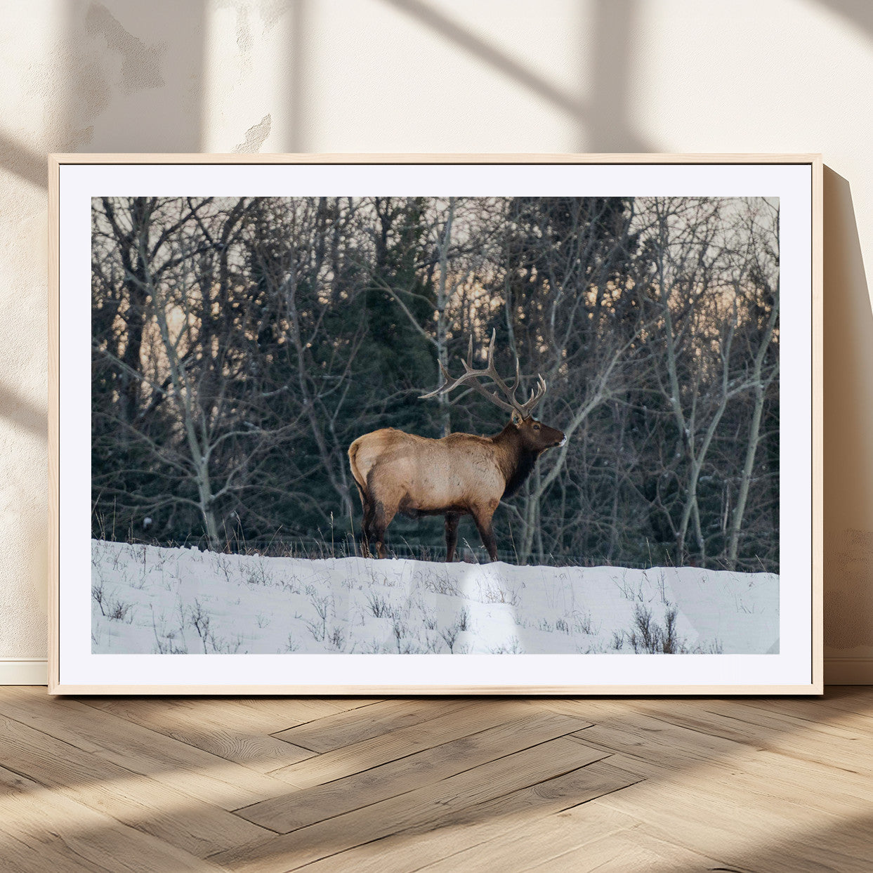 A majestic elk with large antlers standing in a snowy field against a winter forest backdrop, perfect for rustic and wildlife-themed home decor.