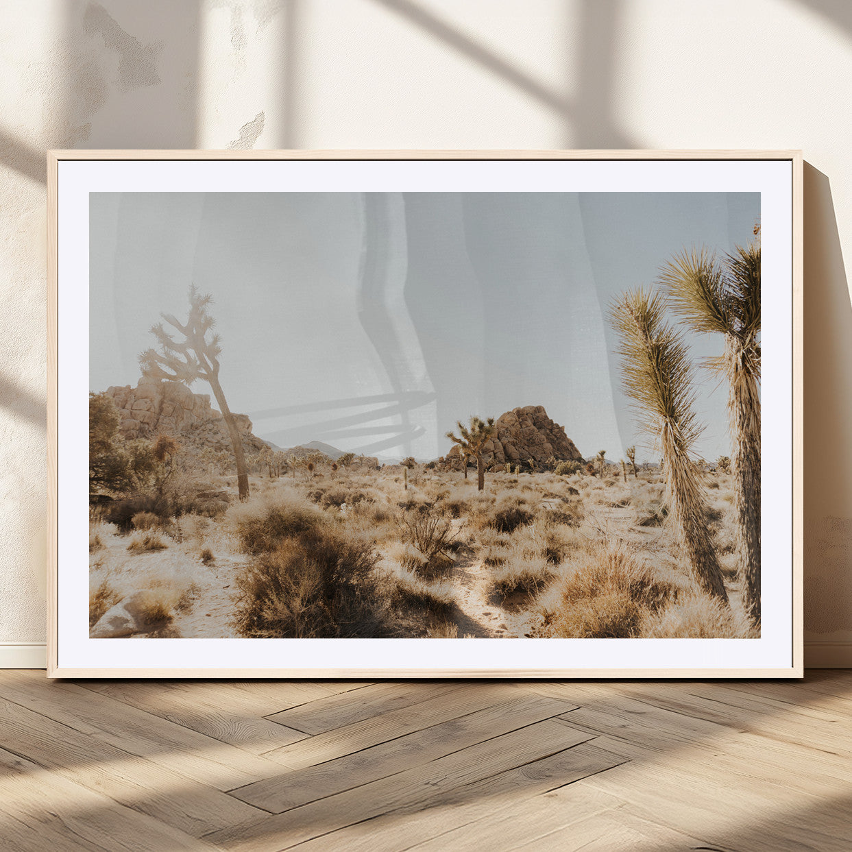 Sunlit desert landscape featuring Joshua trees, rocky formations, and dry bushes under a clear sky.