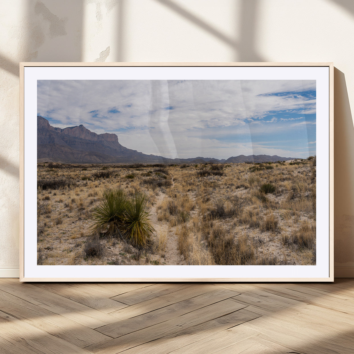 A scenic desert landscape with dry grasses, scattered shrubs, and a distant mountain range under a partly cloudy blue sky.