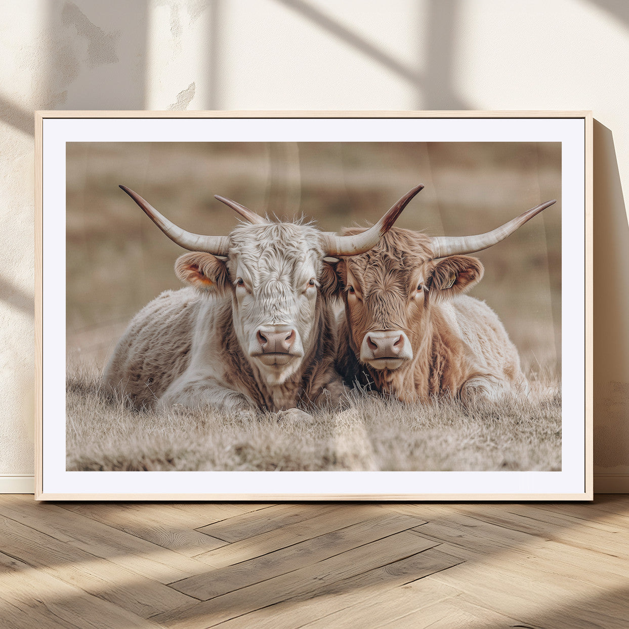 Two Highland cows with long horns lying side by side on a grassy field, featuring soft natural tones and a calm rural setting.