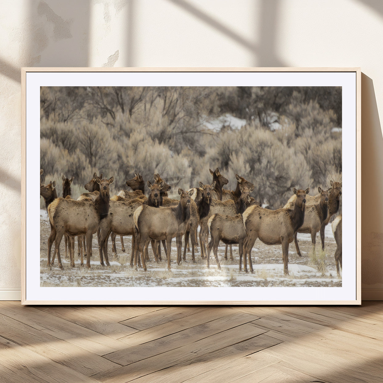 A stunning wall art canvas print featuring a large herd of elk standing together in a natural winter landscape with muted earthy tones and soft background foliage, perfect for rustic or nature-inspired home decor.