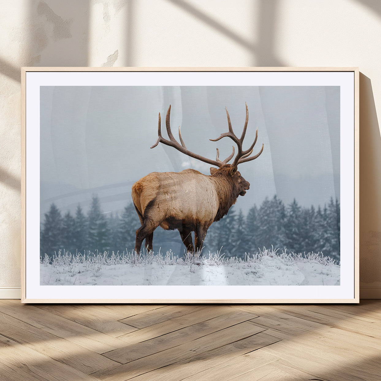 A majestic elk standing in a snowy landscape, with large antlers, set against a backdrop of evergreen trees and a soft winter sky.
