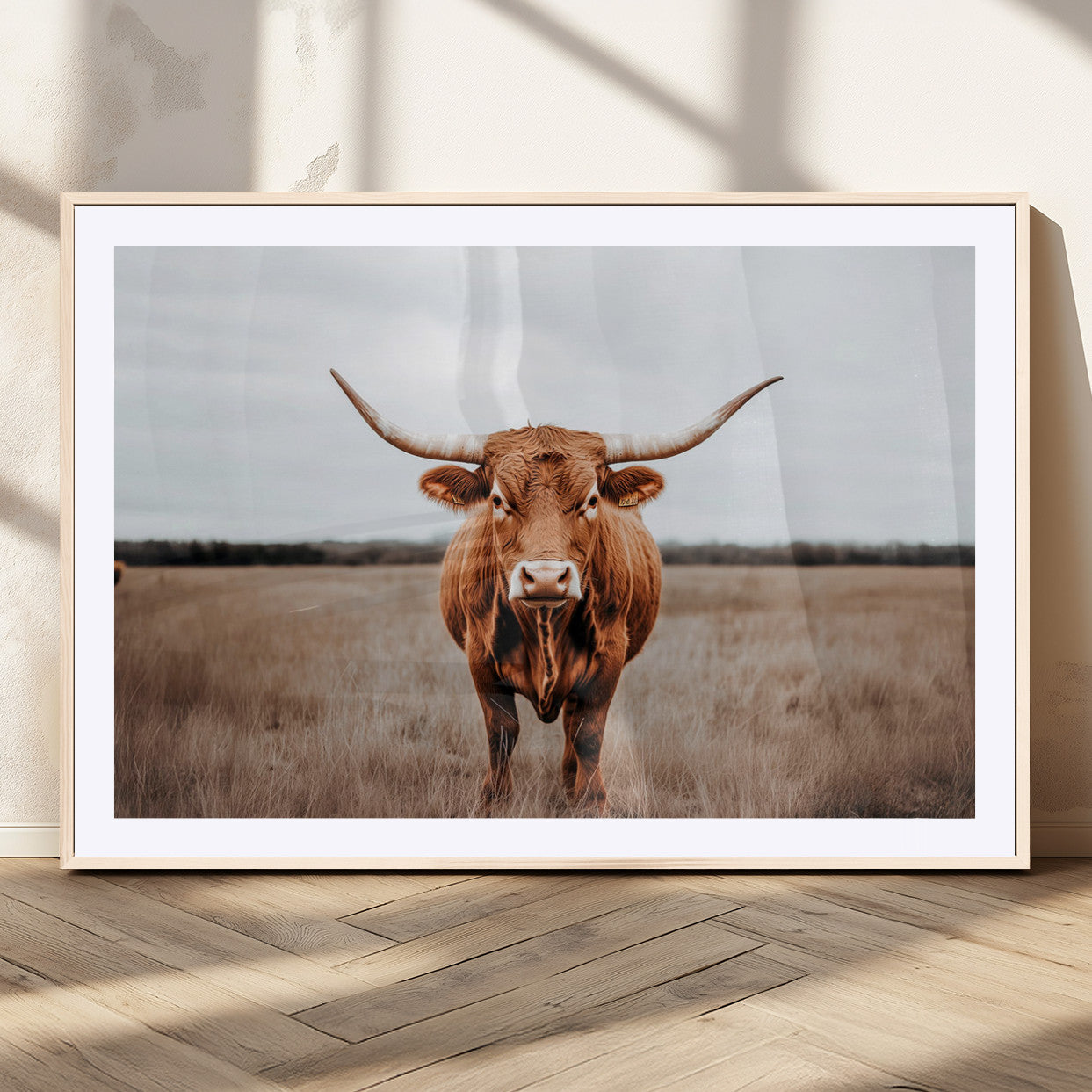 MGC-FP-36x24 - Longhorn bull, open field, rustic charm, natural beauty, Wall Art Canvas Print, countryside,