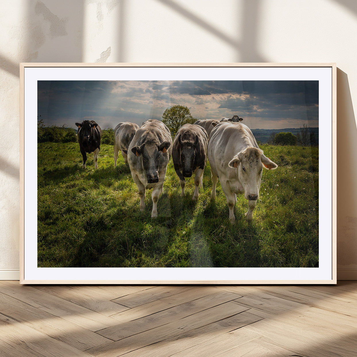 67277447-MGV-CV-36X24-Grazing Cattle Herd Pasture Green Field Livestock Natural Farm Animals Rural Life Outdoor Wall Art Canvas Print
