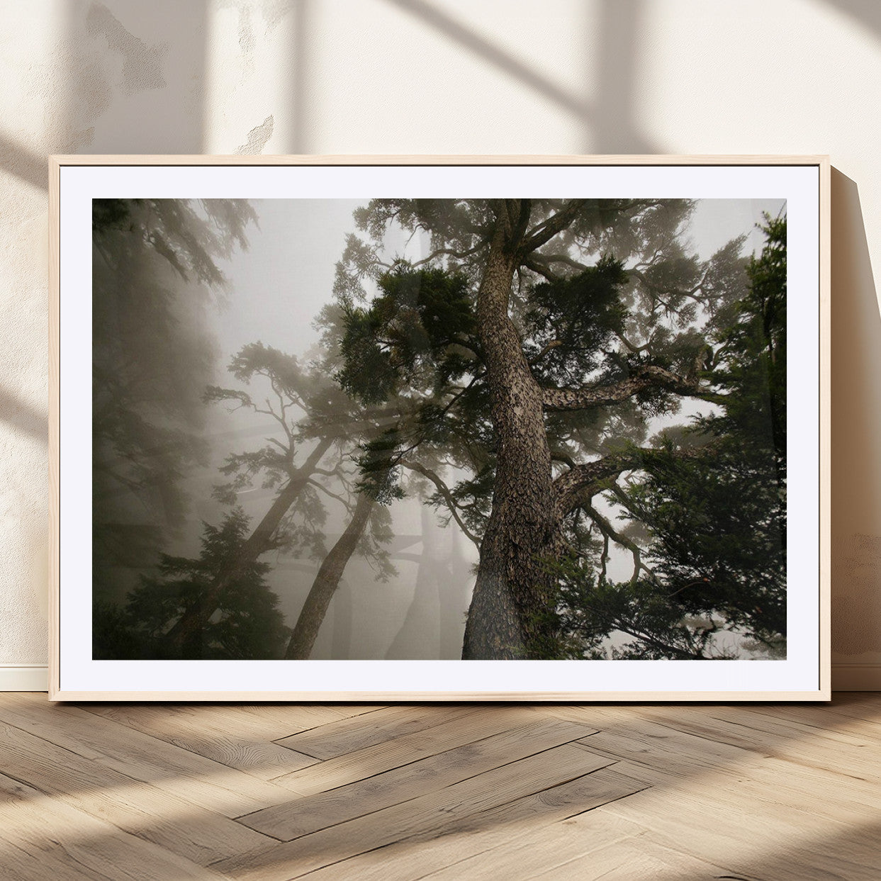 87969493-MGV-CV-36X24-Misty Forest Tall Trees Foggy Atmosphere Nature Serenity Calm Wooded Landscape Tranquil Scene Outdoor Beauty Wall Art Canvas Print