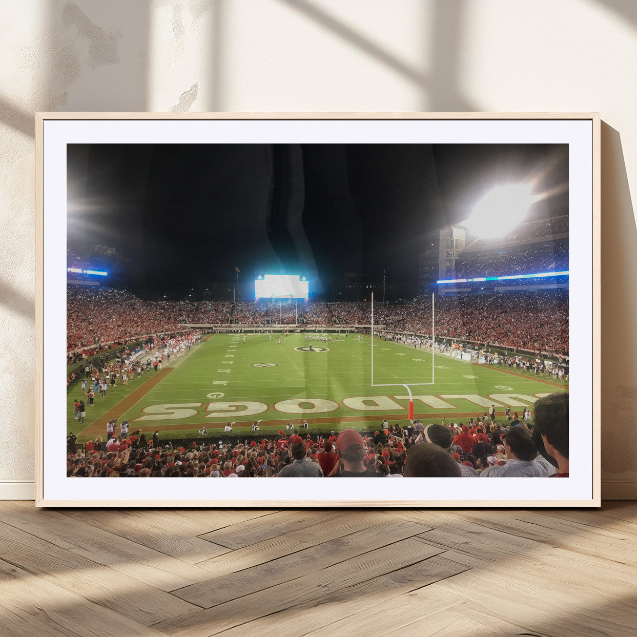 Dooley Stadium Wall Art Print, Sports Arena Canvas Wall Art, Panoramic Stadium Canvas Print, Modern Athletic Field Art Printing