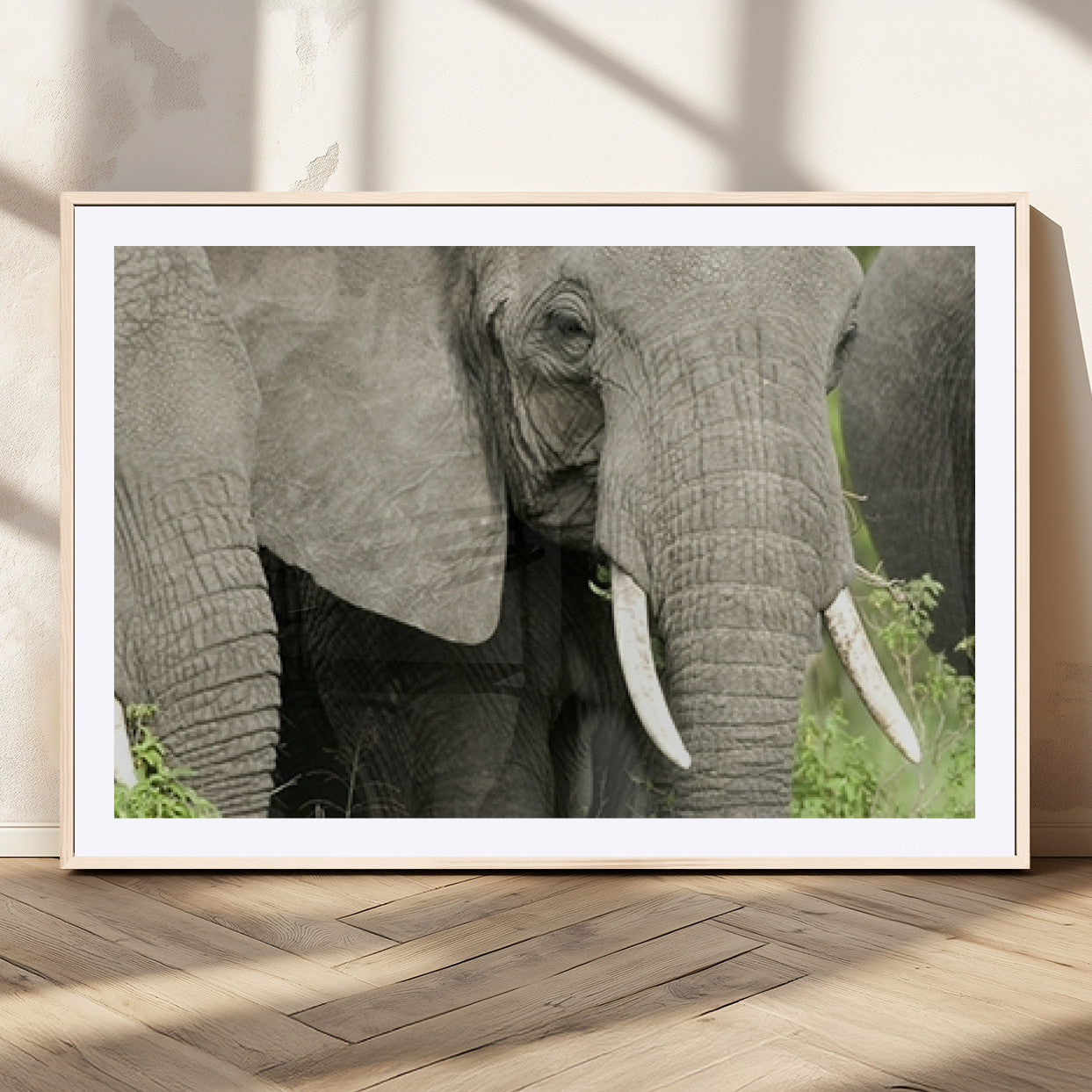 MGC-FP-36x24 - Wild Elephant Wall Art Canvas Print