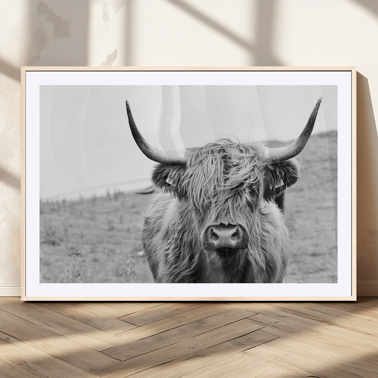 MGC-FP-36x24 - Newfoundland Cow Art Wall Art, Black White Cow Art Wall Art Canvas Print