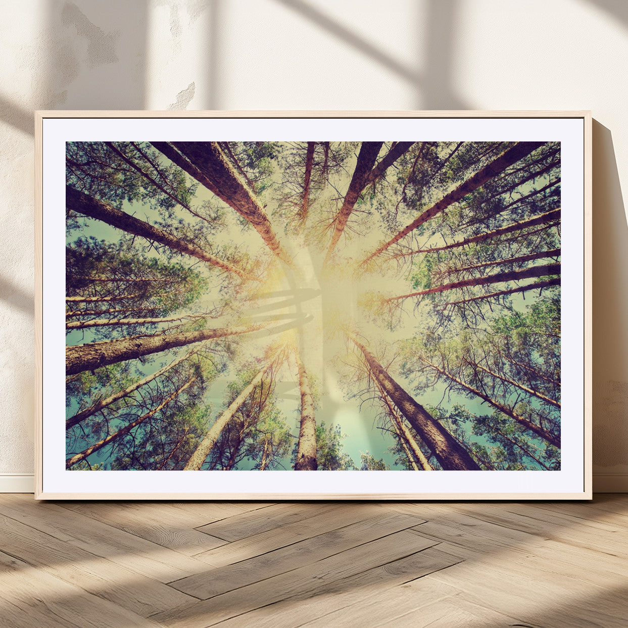 -Tree and Sunshine Canvas Print
