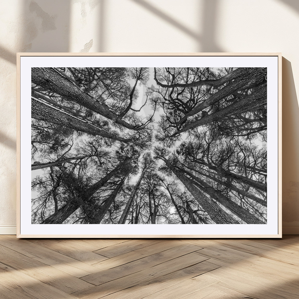 -Trees Contemporary Art Canvas Print