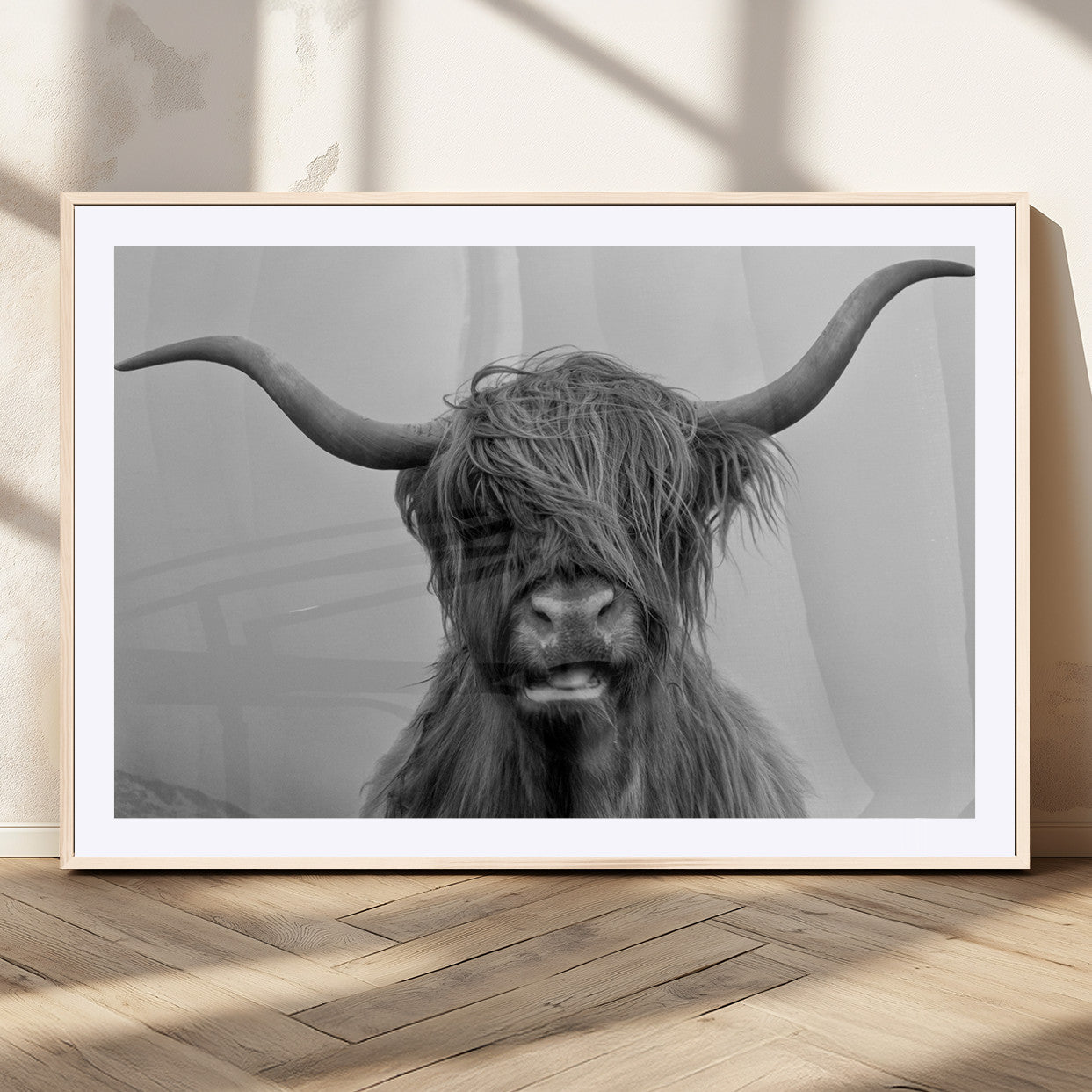MGC-FP-36x24 - Texas Cow Wall Art Canvas, Texas Longhorn Cattle Canvas Print