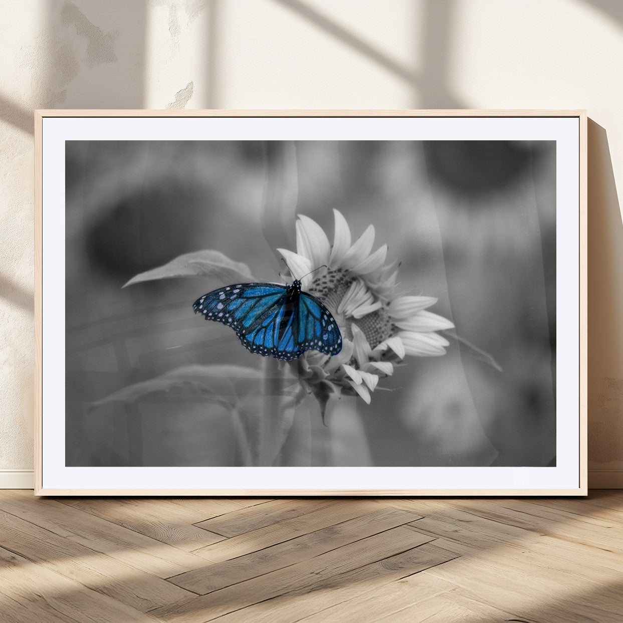MGC-FP-36x24 - Blue Butterfly Black and White Canvas Wall Art
