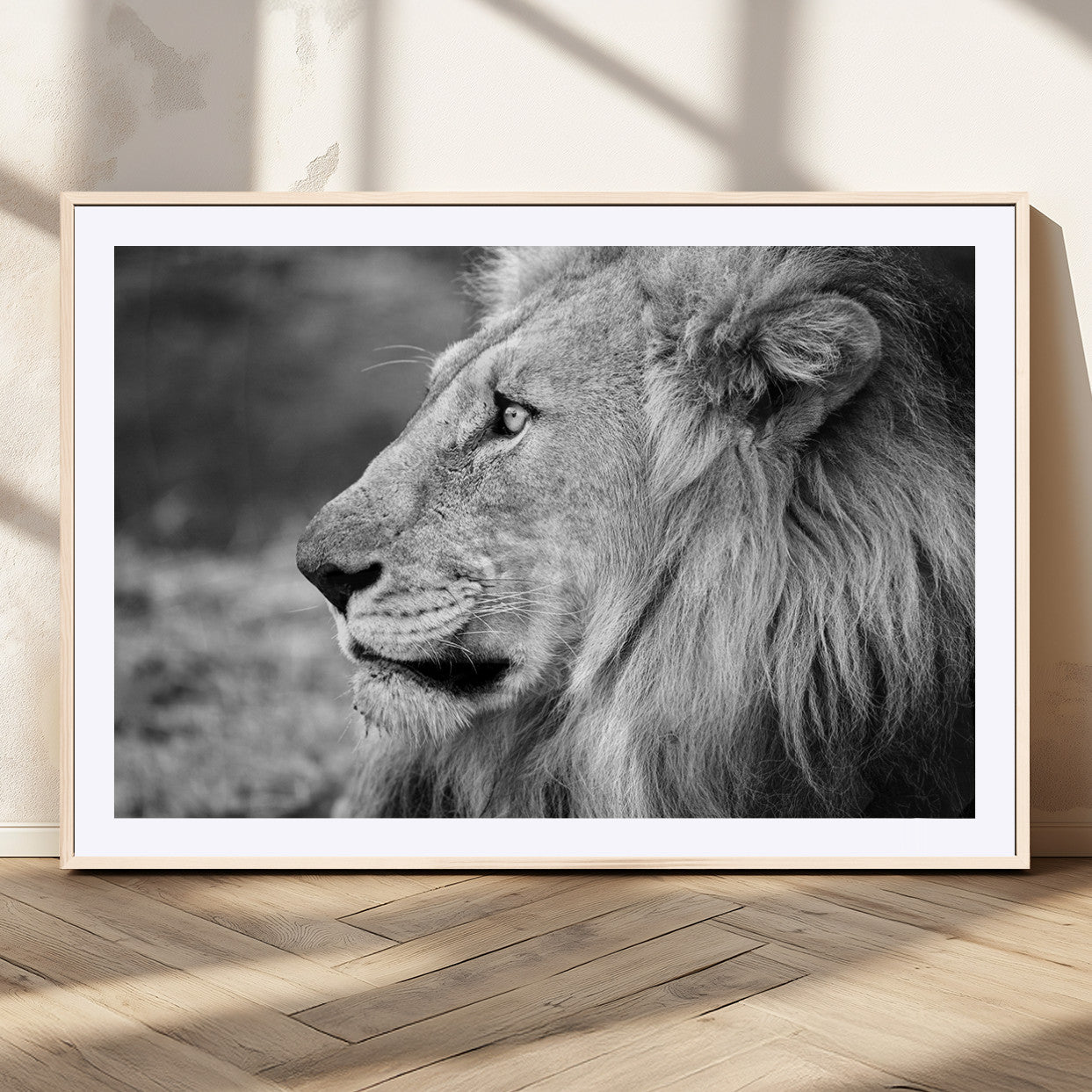 MGC-FP-36x24 - African Lion Wall Art Canvas Print
