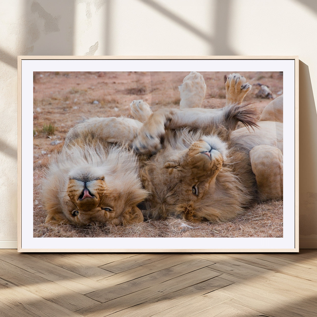 MGC-FP-36x24 - Animal Wall Art Lion Canvas Print