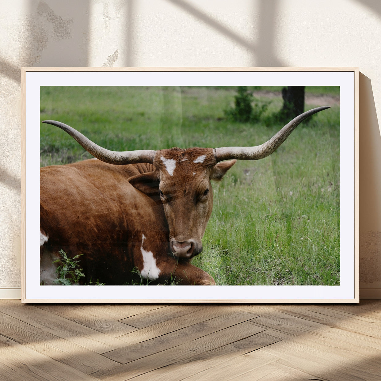MGC-FP-36x24 - Longhorn Cow Animal Wall Art Canvas Print