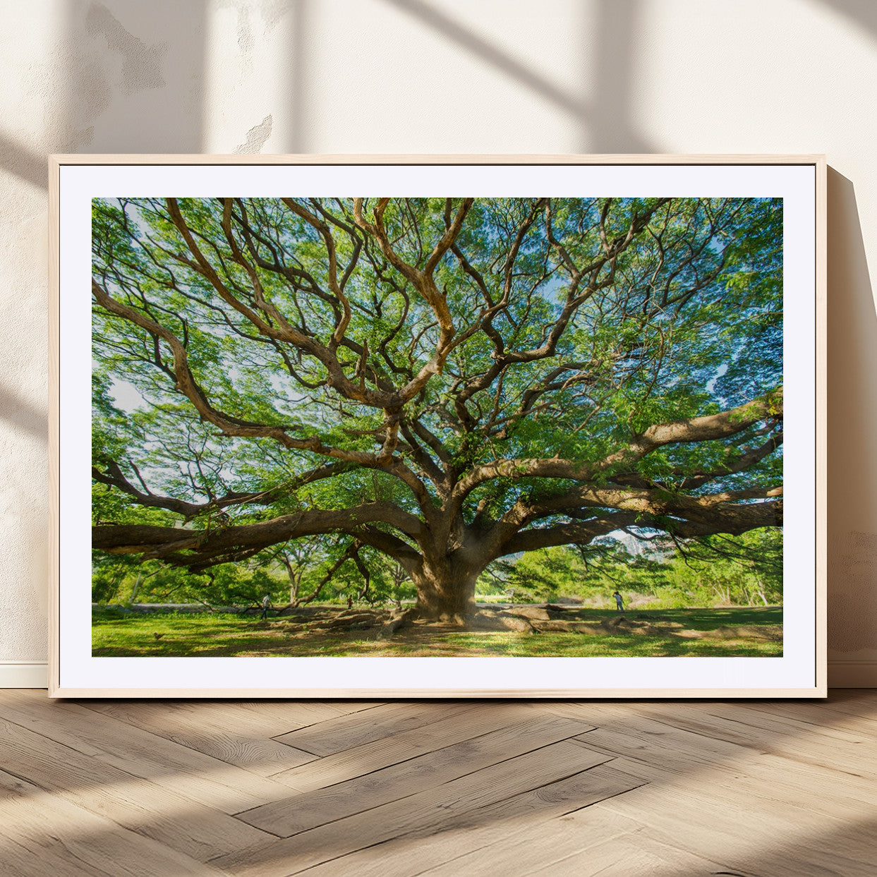 MGC-FP-36x24 - Angel Oak Tree Wall Art | Oak Canvas Print | Multi Panel Landscape Wall Art | Ready to Hang Wall Art