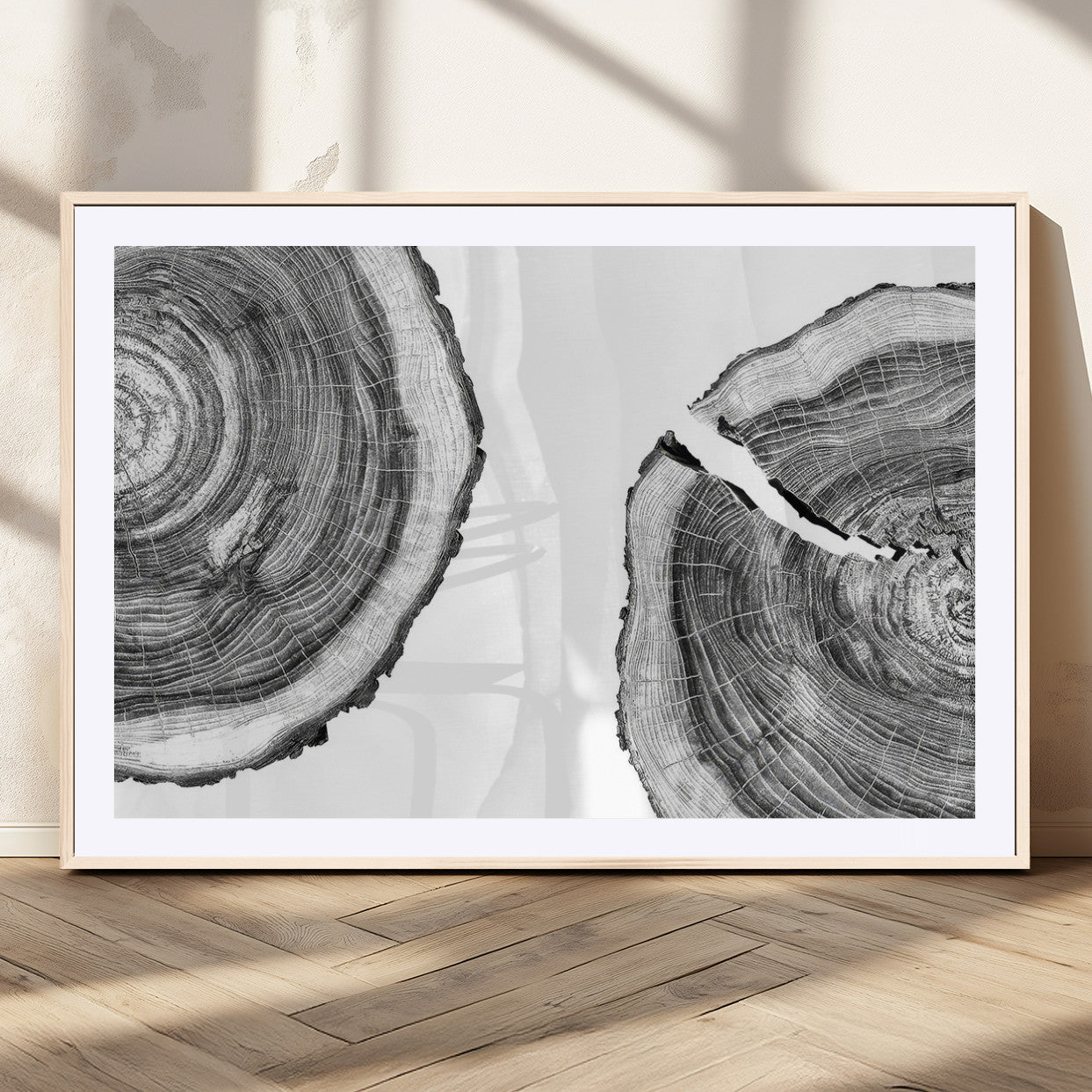 MGC-FP-36x24 - Abstract Large Tree Rings – Minimalist Black and White Wood Art | Triptych Canvas, Modern Wall Decor