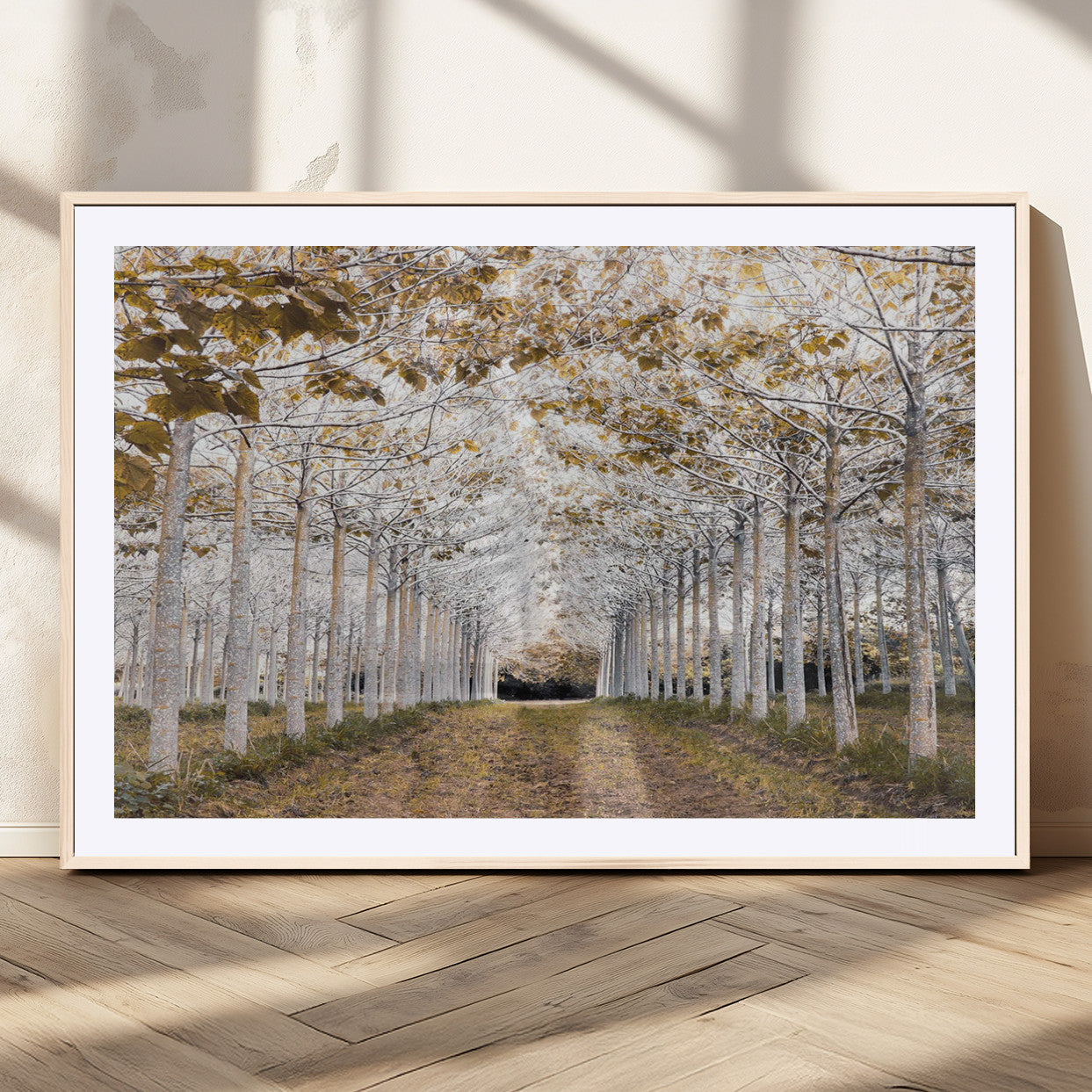MGC-FP-36x24 - Forest Grove Wall Art | Serene Pathway Canvas Print | Ready to Hang and Framed Nature Wall Decor for
