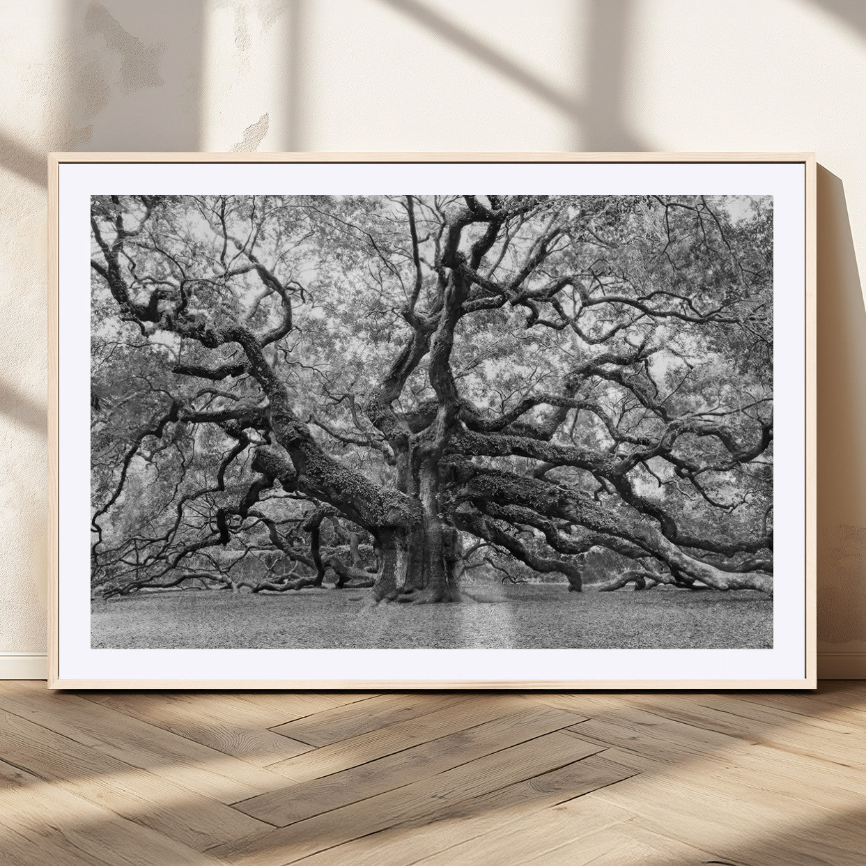 MGC-FP-36x24 - Black White Angel Oak Tree Wall Art - Timeless Nature-Inspired Canvas for Rustic, Modern, or