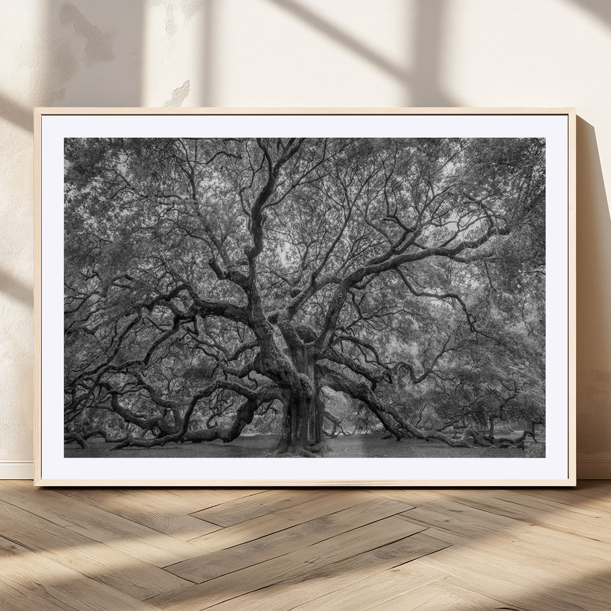 97240-MGC-FP-36x24_Natural-Majestic Angel Oak Tree Black and White Canvas Print – Multi Panel Wall Art, Giclée Print, Ready to