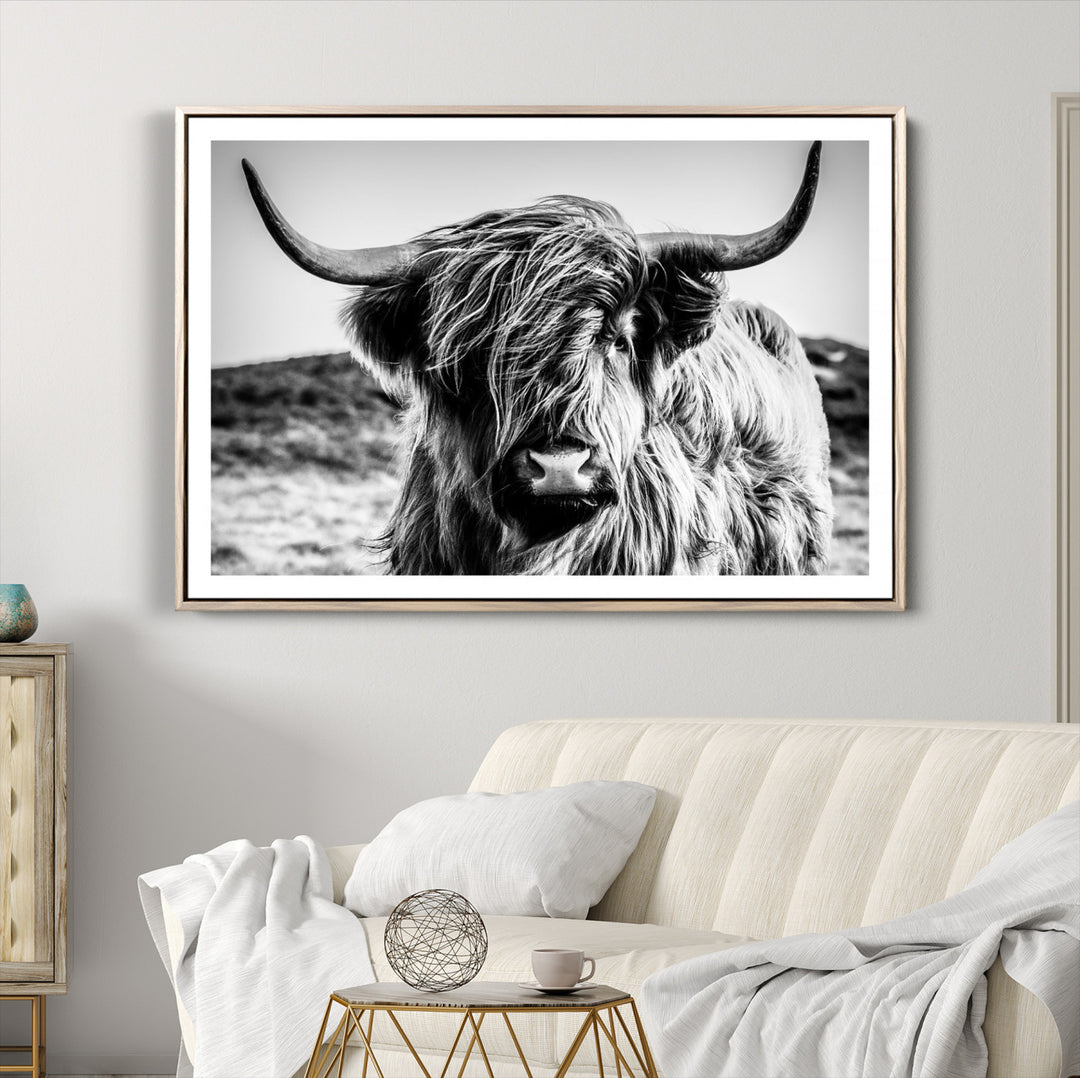 Highland Cow Wall Art | 3-Panel Black and White Highland Cow Canvas Print for Western Farmhouse Decor