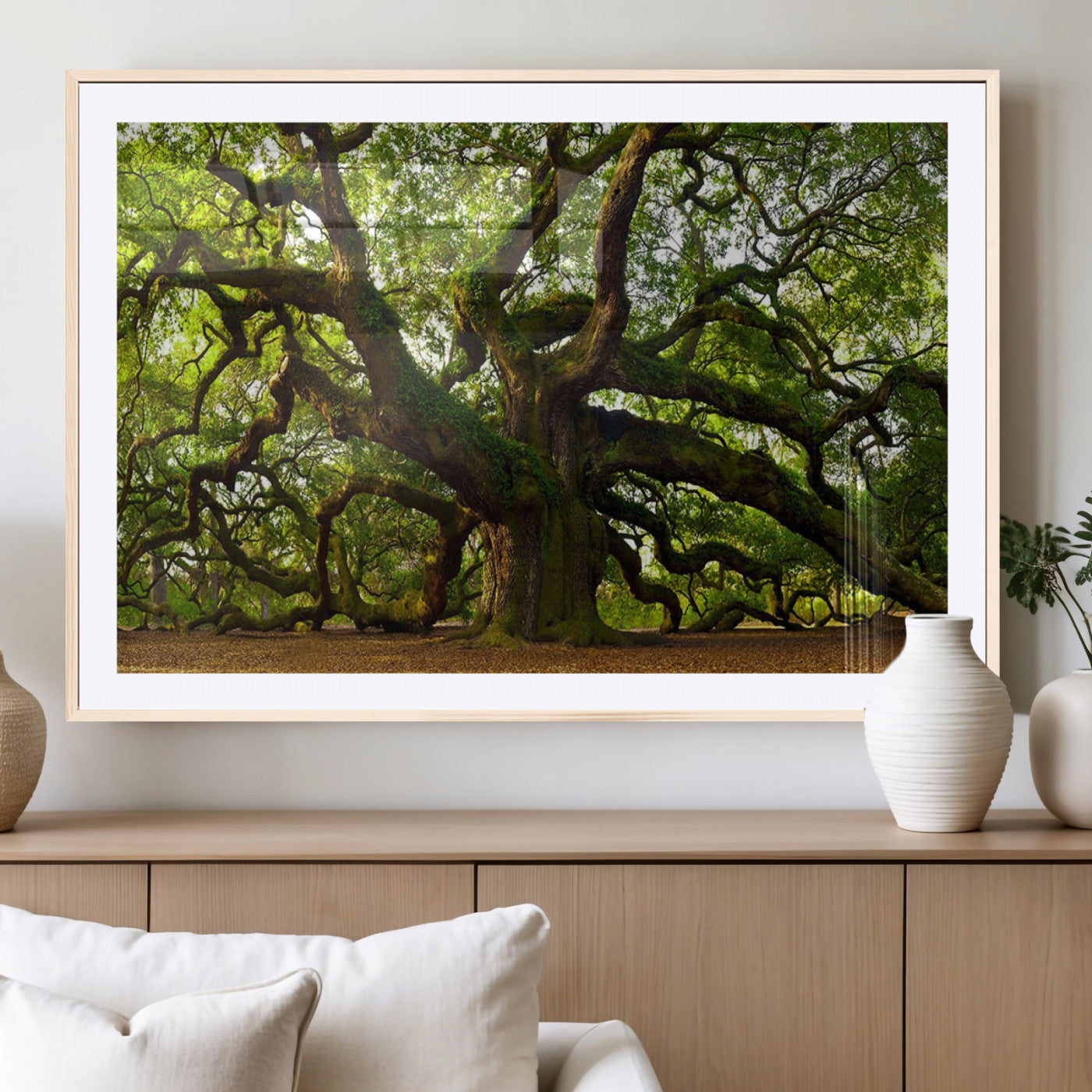 MGC-FP-36x24 - Angel Oak Tree Wall Art Canvas Print | Forest Tree Nature Photography Print on Canvas | Large