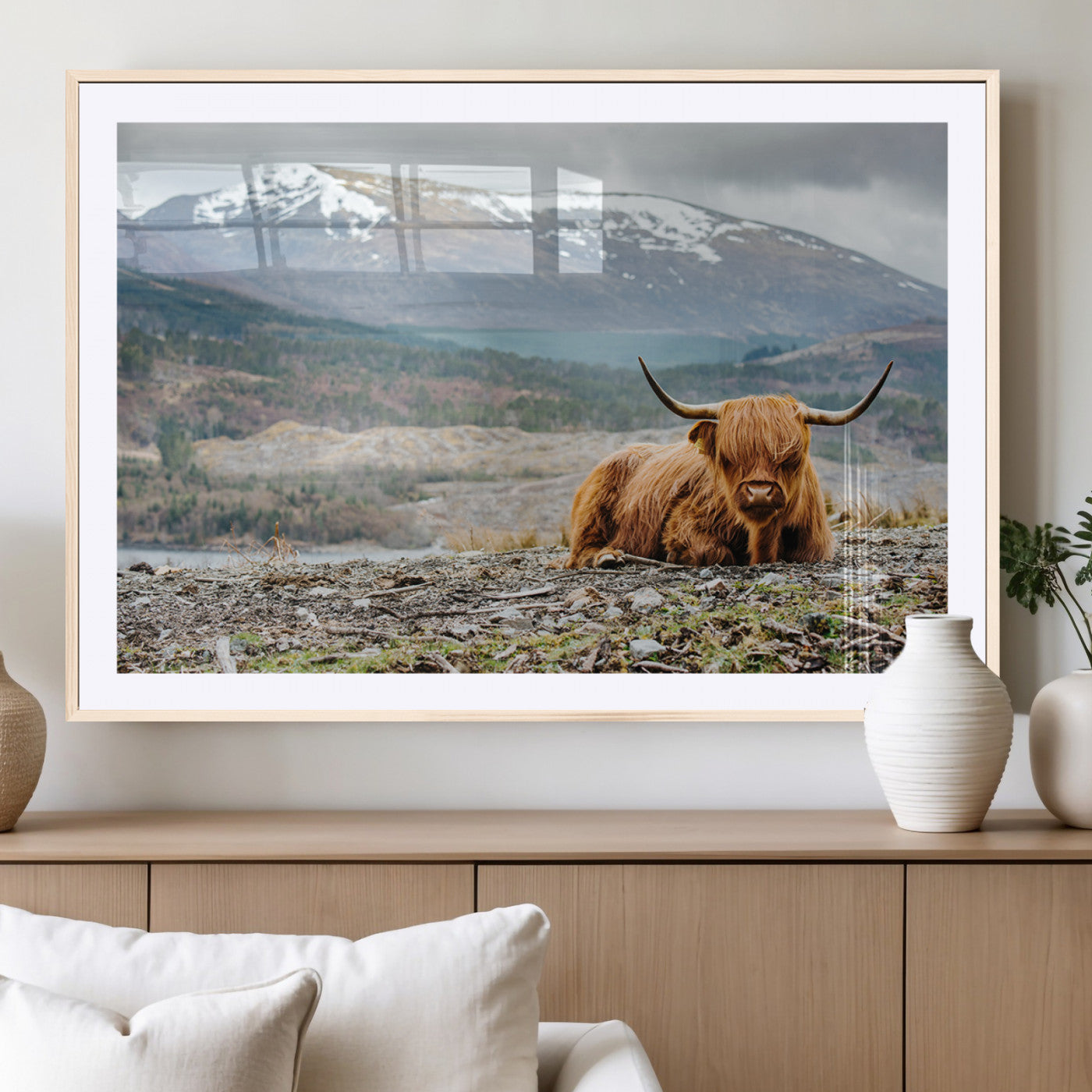 80252-MGC-FP-36x24_Natural-Highland Cow Horn Farm Wall Art Canvas Print