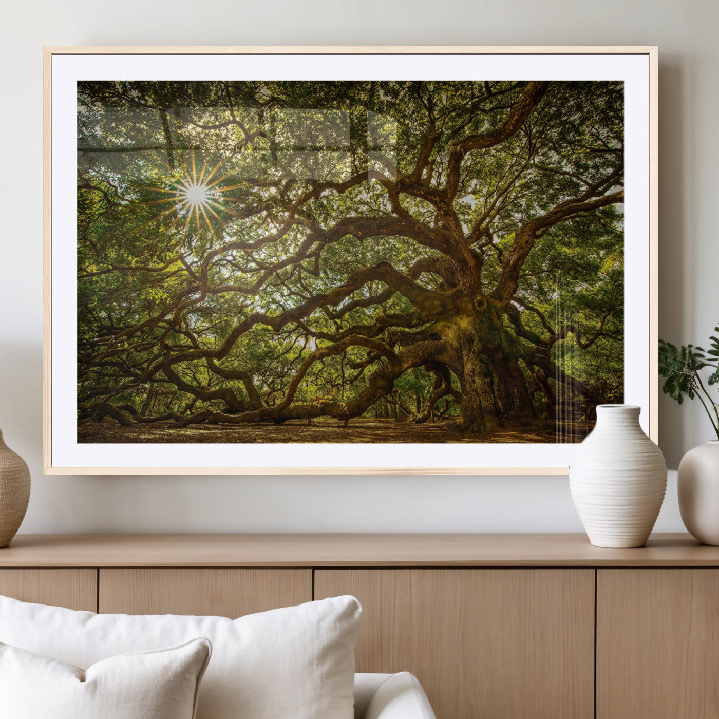 MGC-FP-36x24 - Ancient Angel Oak Tree Art Sunburst Canvas Print- Nature-Inspired Triptych Canvas Print, Framed,