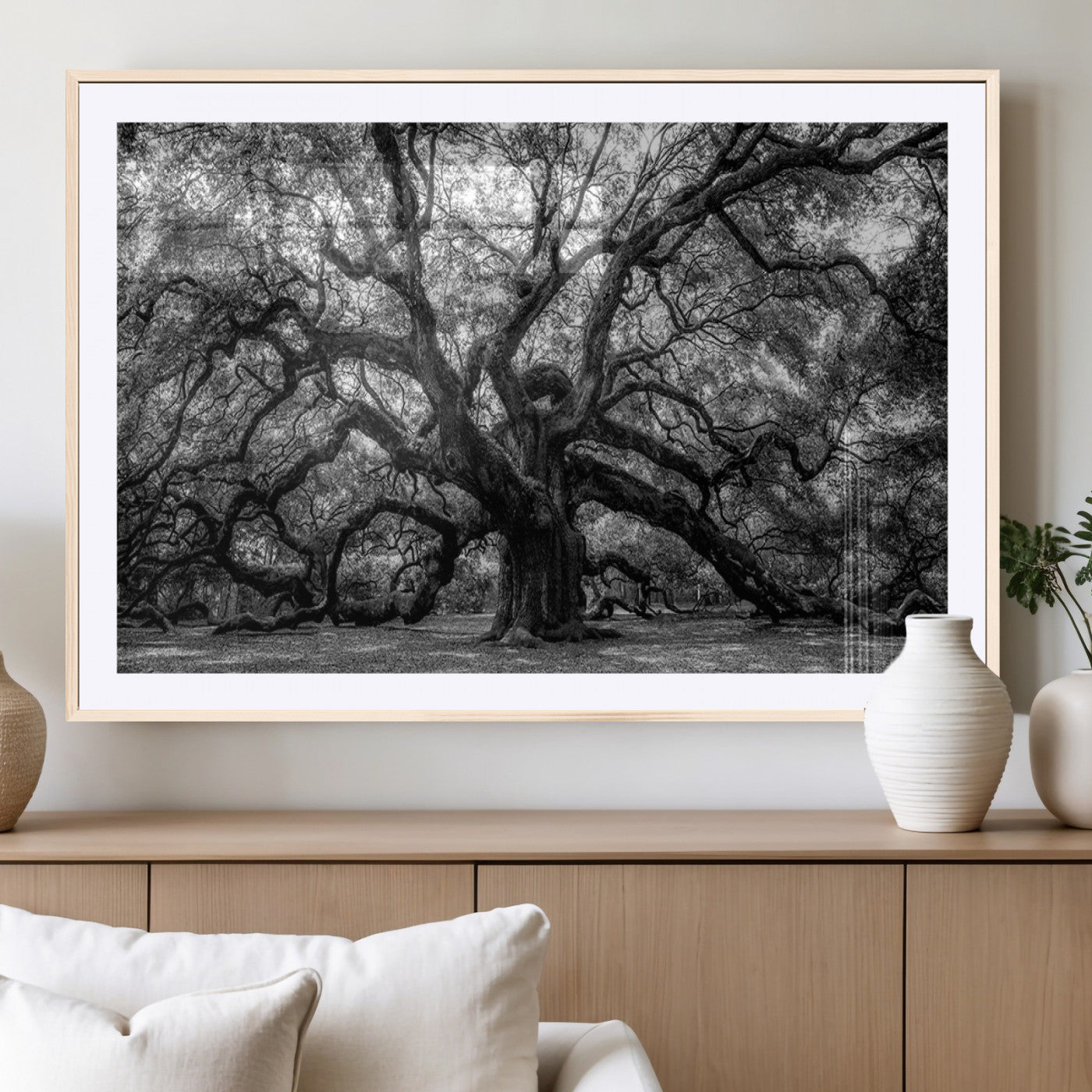 MGC-FP-36x24 - Black and White Old Angel Oak Tree Wall Art Canvas Print