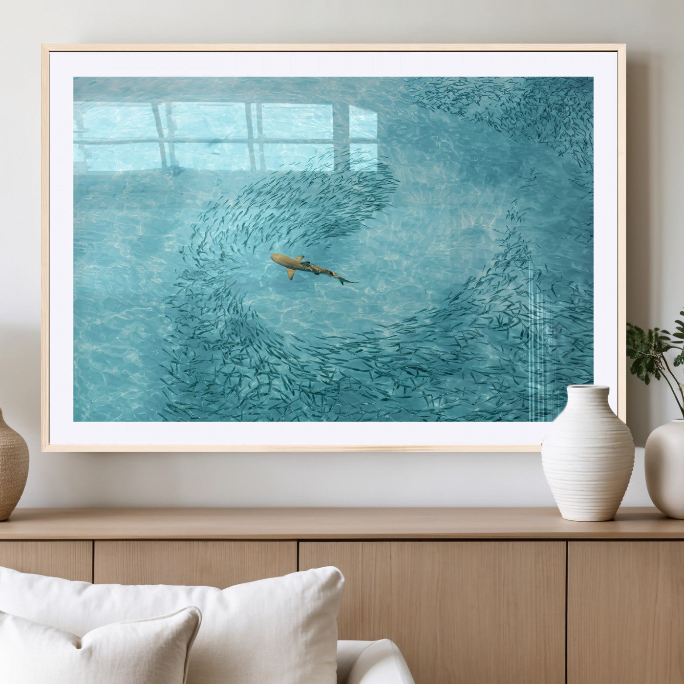 Aerial view of a shark swimming through a swirl of fish in clear turquoise waters, perfect for calm coastal or beach house decor.