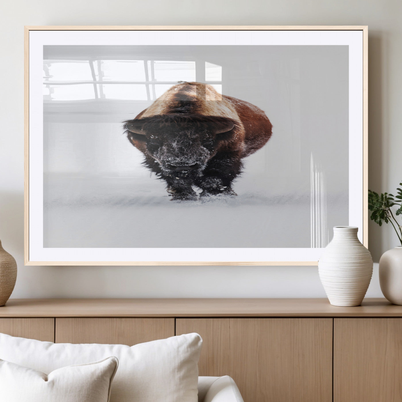 Front view of a strong bison walking in deep snow, isolated white background, perfect for rustic or lodge-style home decor.