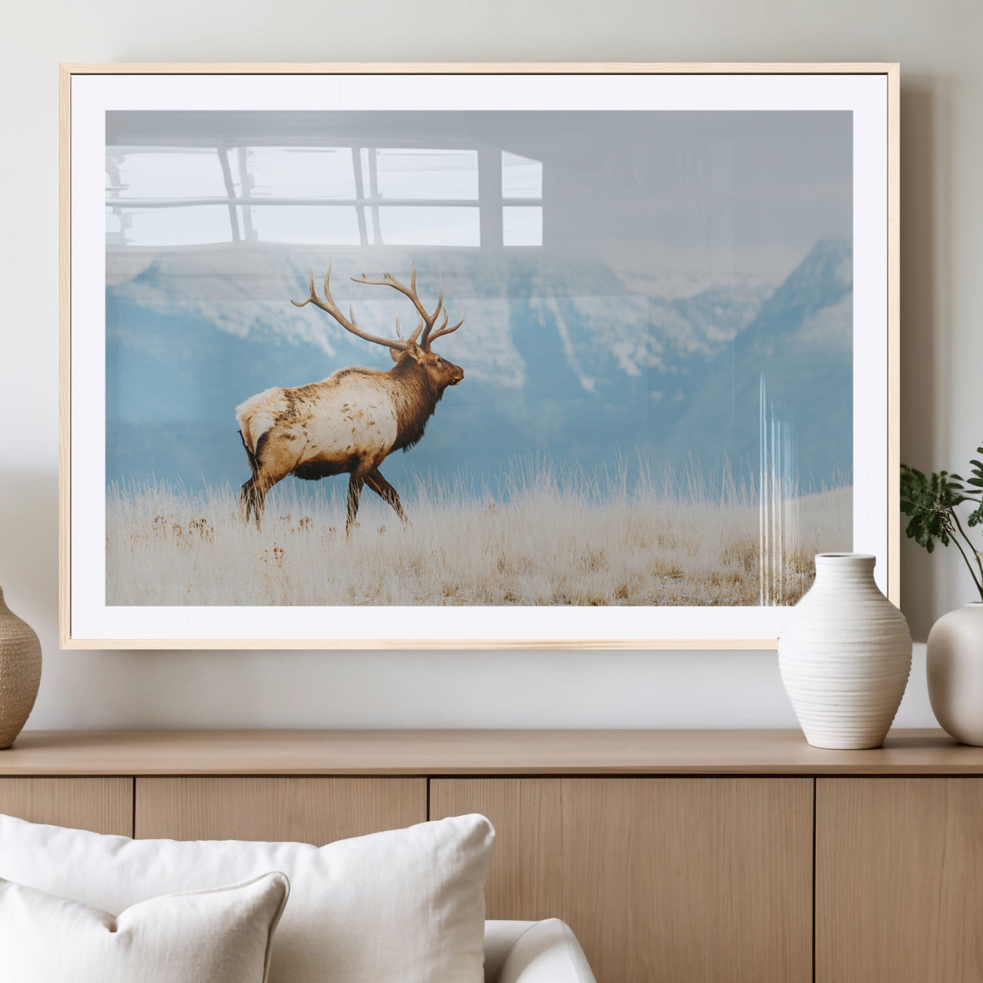Majestic elk with antlers walking on golden grass, snowy mountains behind, perfect for rustic lodge or Scandinavian decor.