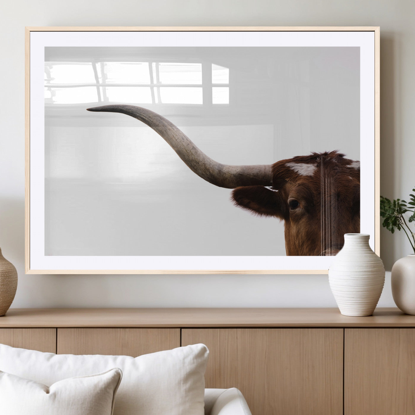 Close-up of Texas Longhorn horn and eye on white background, perfect for minimalist or modern farmhouse style wall decor.