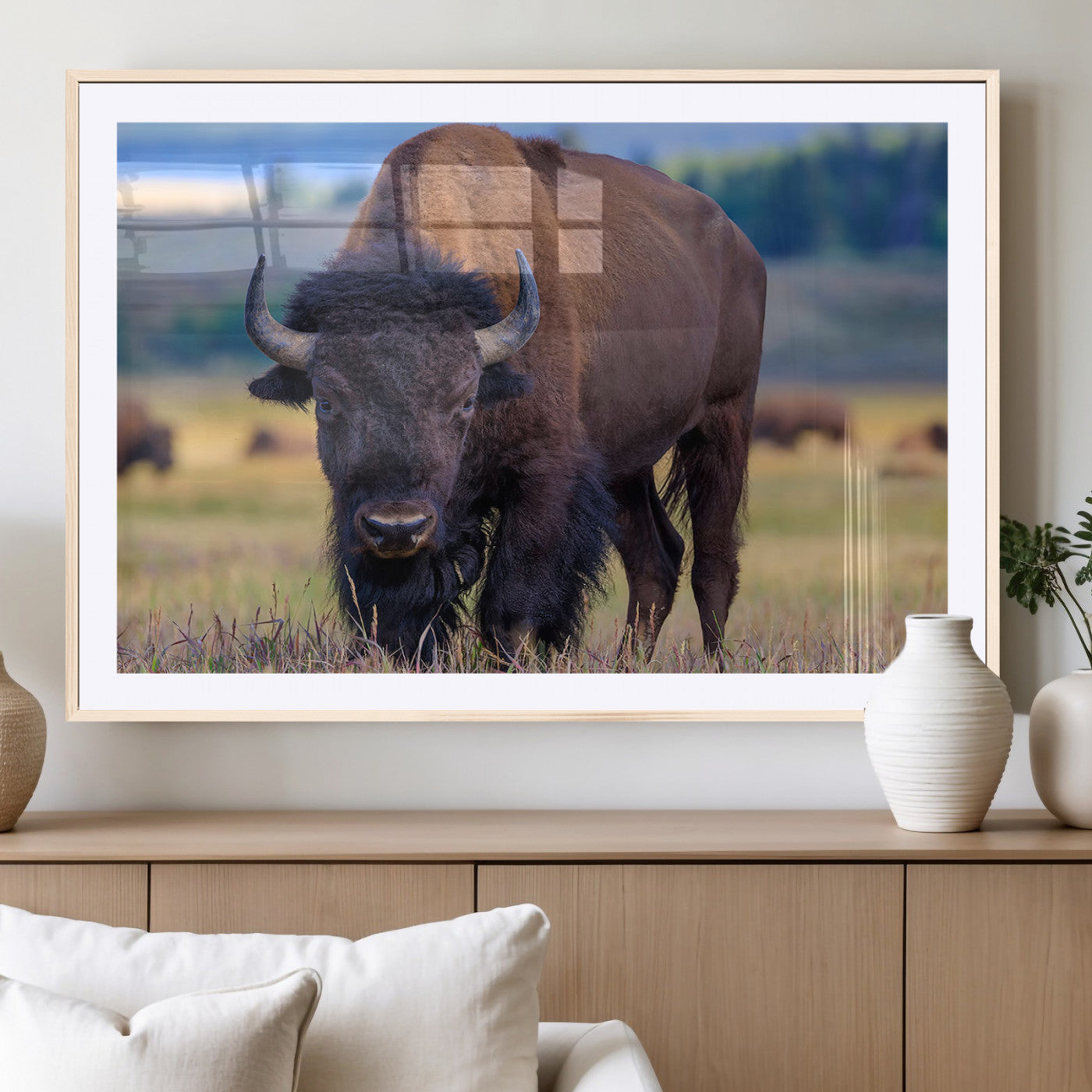 Close-up of a strong American bison standing in a grassy prairie with a blurred herd in background, perfect for rustic lodge decor.