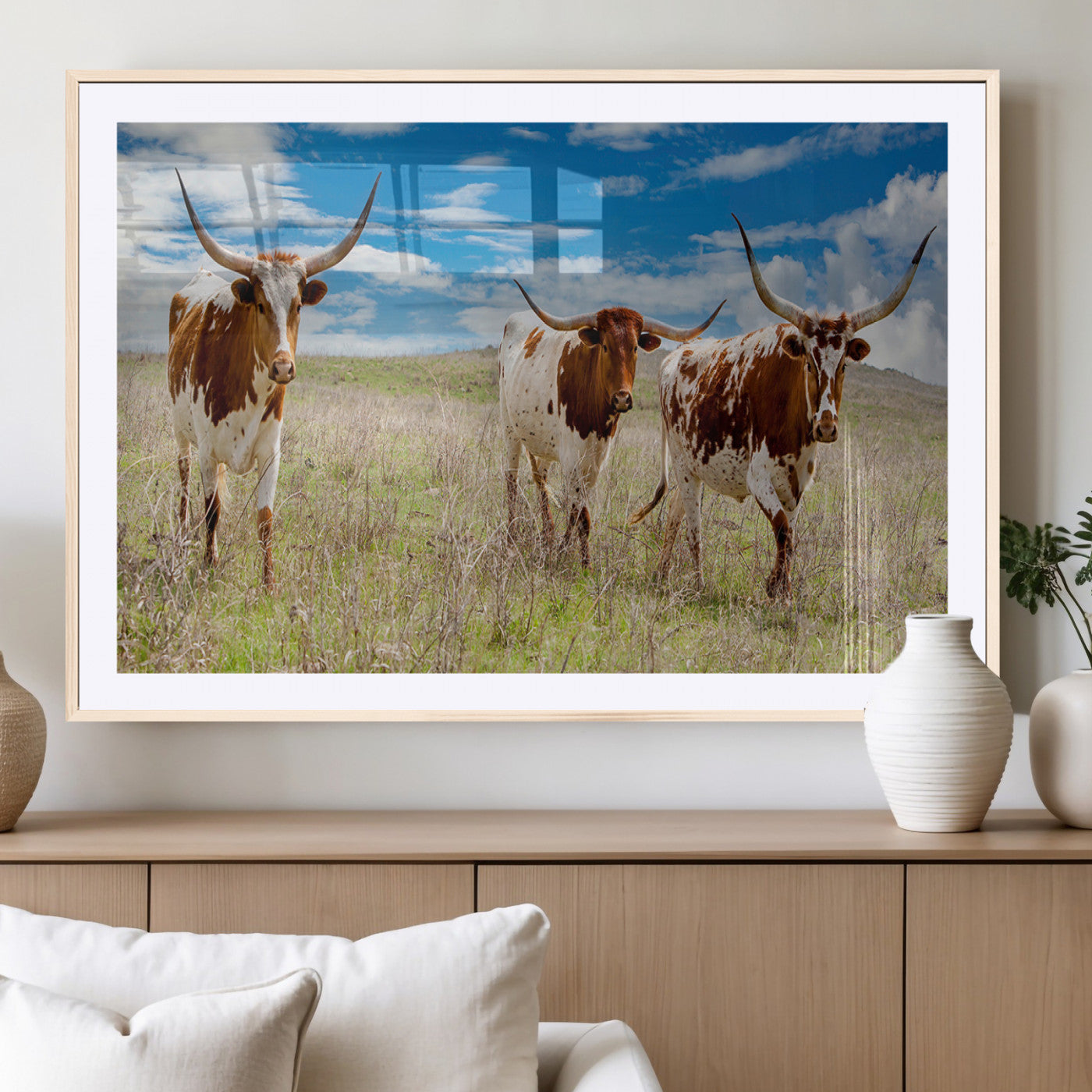 Three Texas longhorn cattle standing in dry grass under a bright blue sky, ideal for farmhouse or western rustic home decor.