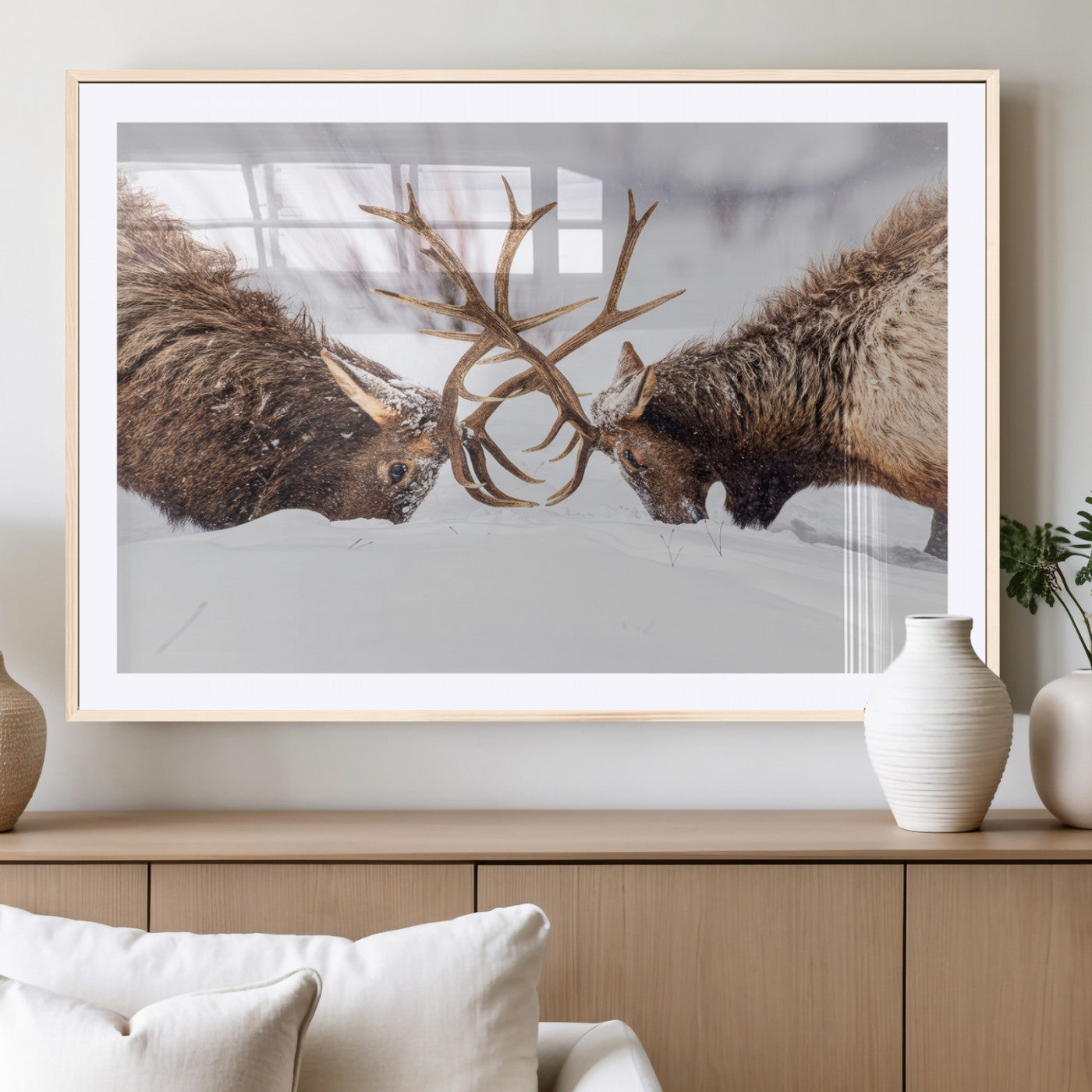 Two elk clashing antlers in a snowy forest, capturing raw power and wild energy, ideal for rustic cabin or lodge-style decor.
