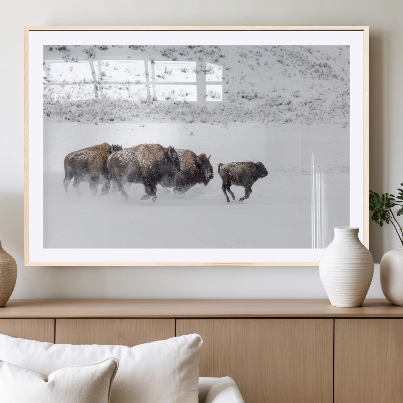 Bison herd running through a snowy open field with mountain backdrop, perfect for rustic or western-themed wall decoration.